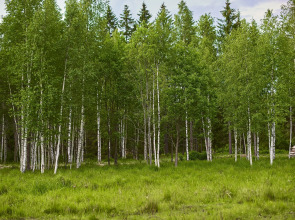 Бунгало Мазаная Горка