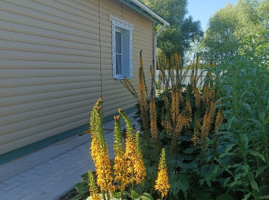 Уютный домик в деревне