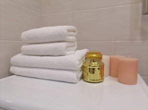 Апартаменты Scandica Home в центре города