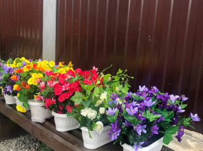 Гостевой дом Вилла Позитив Камчатка