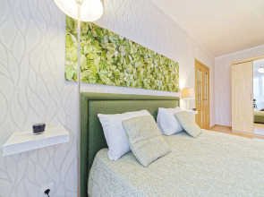 Апартаменты Зенит. История с продолжением. Беговая