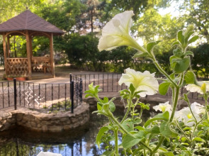 Отель Нобель