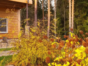 Апартаменты Валдай Пространство мечты 3