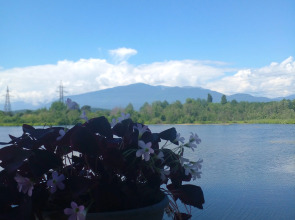 Гостевой дом в Пицунде у озера Наала
