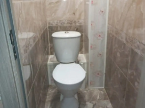 Трехкомнатная квартира в Тольятти