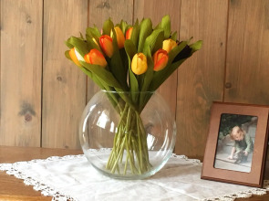 Эко-дача Hidden Plyos