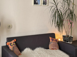 Квартира Курорт в центре мегаполиса