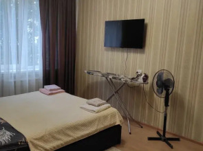 Квартира 1-комнатная квартира у метро пр. Большевиков