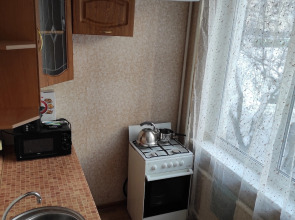 Квартира 1-комнатная квартира у метро пр. Большевиков