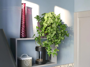 Квартира dombomb