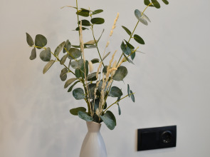 Квартира Red House 25м²