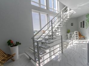 Папоротник