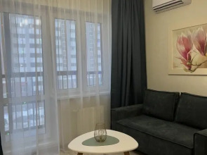 Улучшенные апартаменты Баттерфляй с камином в центре города