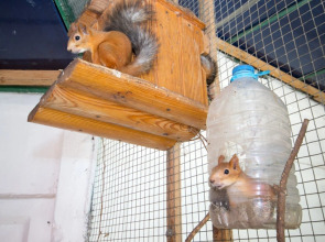 Пансионат Лазурный