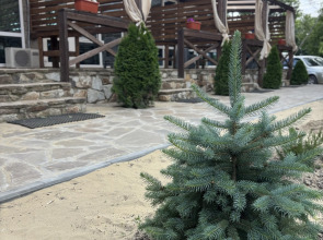 База отдыха Белуга