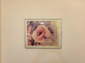 Апартаменты около Метро