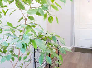 Апартаменты Welcomerooms 2