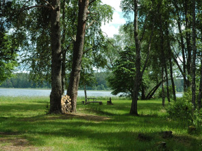 Гостевой Дом Шишки
