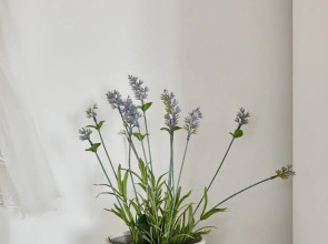 Апартаменты в Центре Бохо 1