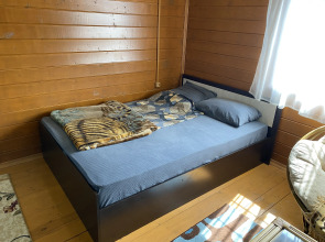 Частный дом на Волге