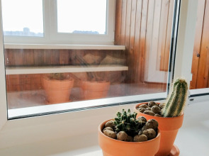 Апартаменты Asian dreams