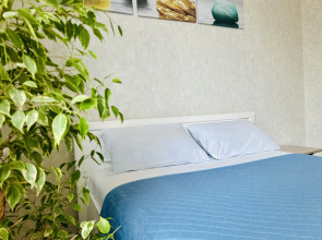 Квартира Апартаменты Pavlovsk36