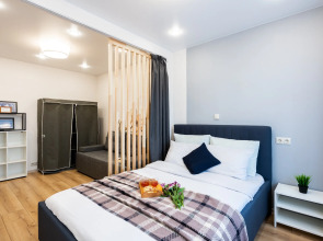 Улучшенные апартаменты Natali на метро Южная