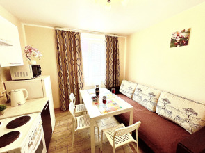 Уютные Апартаменты в доме у Космопорта (ул. Дыбенко 27а)