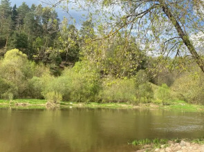 Коттеджи Река-Река