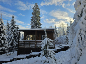 Коттедж Черничный Склон Wood House