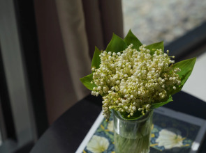 Гостевой дом Alpina house