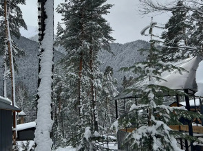 База отдыха Сосновка