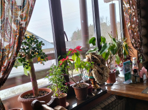 Гостевой дом Мышкин двор Барабановъ