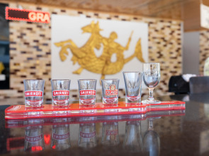 Hotel Grand Viking All Inclusive