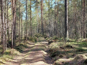 Гостевой дом Березки