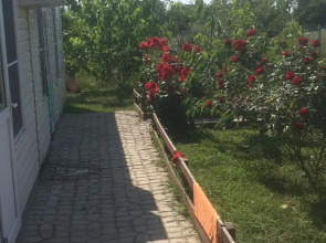 Звезда Азова