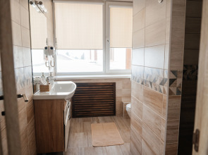 Отель Шишка