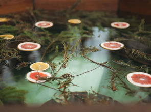 Частный дом с баней и чаном у воды и леса