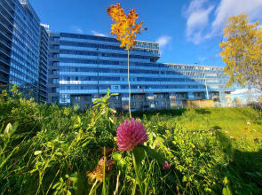 Апартаменты Am See с видом на Онежское озеро