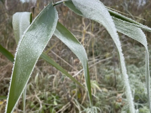 Гостевой дом Моя Провинция