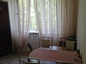 Квартира комфортная в самом центре города с приятным окружающим видом