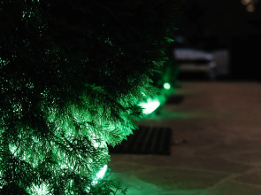 База отдыха Белуга