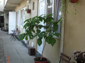 Меблированные комнаты Альянс