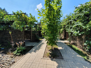 Отель  Сова