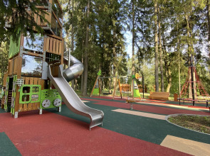 Отель Ruza Forest