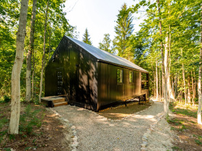 Гостевой дом Лес и Гора