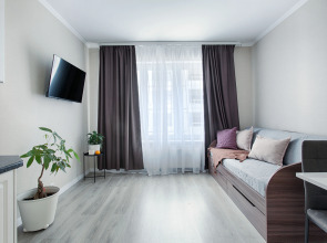 Квартира Homely у Лесной Satin home