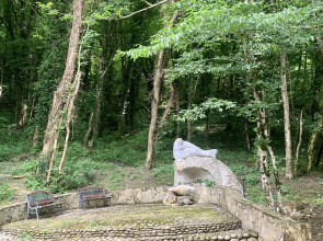 База отдыха Гостиничный комплекс Примула