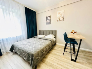 Квартира Алеутская 12а студия С