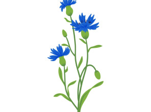 Частный дом на Береговой 3